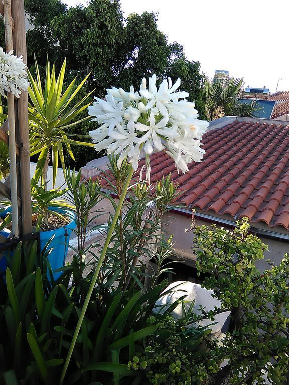 Nikita Traditional House Villa Chania  Room photo